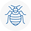 Bed Bug Extermination In Cannock